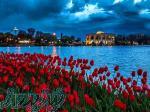 تور های اقساط داخلی 
