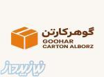 کارتن سازی 