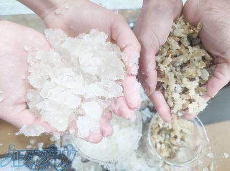 فروش انواع هیدروژل های کشاورزی- افزایش بهره وری کشاورزی با بهترین قیمت 