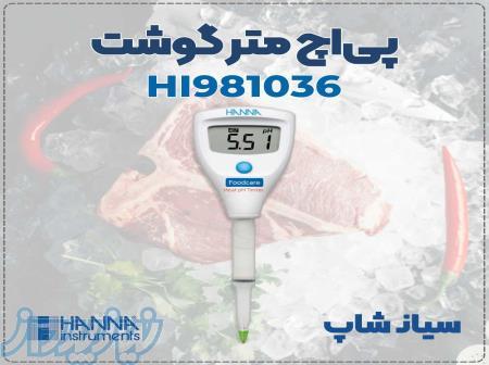 PH متر گوشت مدل HI981036 مناسب کارخانه‌های تولیدی 