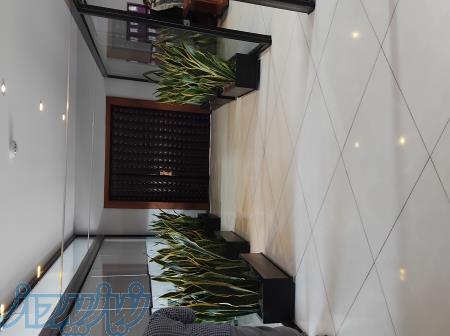 باغبانی و فضای سبز 