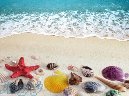 تورهای داخلی 