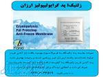 زلتیک؛ پد کرایولیپولیز ارزان 