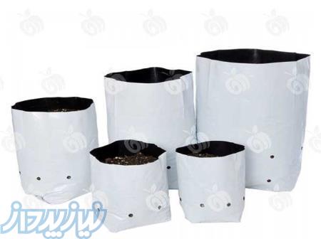 تولید کیسه نهال هیدروپونیک 