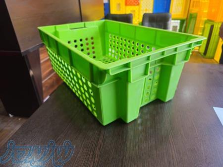 سبد حمل ماهی چپی راستی 