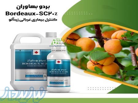   بردو بهاوران    Bordeaux-SC20  