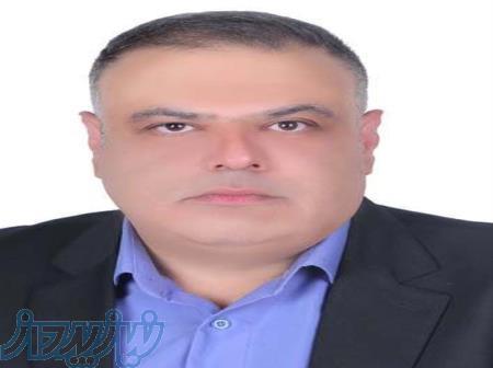 وکیل دادگستری 