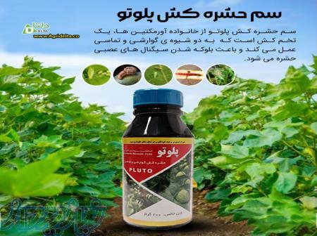 سم حشره کش پلوتو 