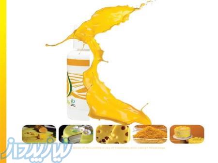 رنگ خوراکی و طبیعی کورکومین فریر با بالاترین کیفیت 