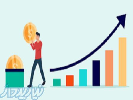 سئو سایت برای افزایش بازدید و فروش 