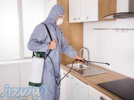 سمپاشی شهریار شرکت سمپاشی در شهریار سمپاشی ساس سوسک موش در شهریار تلفن سمپاش شهریار 