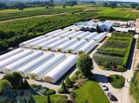 پیمانکار سازه گلخانه و فروش تجهیزات 