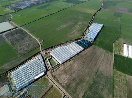 ساخت و احداث گلخانه مدرن