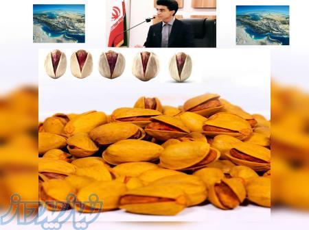 خرید و فروش عمده پسته 