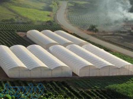 اجرای تخصصی گلخانه های گالوانیزه 