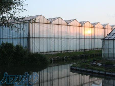 ساخت گلخانه فلزی با تجهیزات 