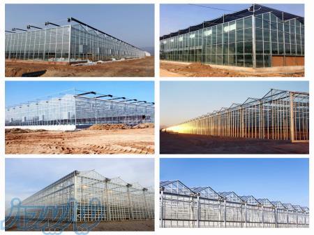 پیمانکار گلخانه اسپانیایی 