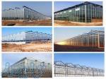 پیمانکار گلخانه اسپانیایی 