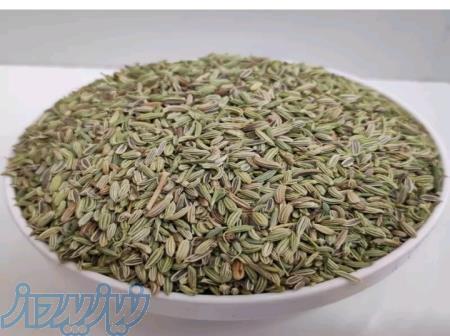 رازیانه سبز و مرغوب همدان 