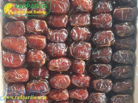 فروش عمده خرما کبکاب صادراتی 
