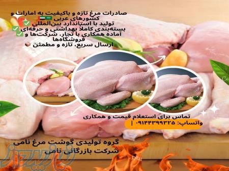 تولیدکننده ؛پرورش مرغ گوشتی در ایران 