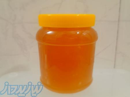 عسل خالص کلپوره و گون کوهی تضمینی 