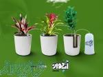 آبیاری خودکار گل و گیاه با ابخوان سرامیکی بدون نیاز به برق 