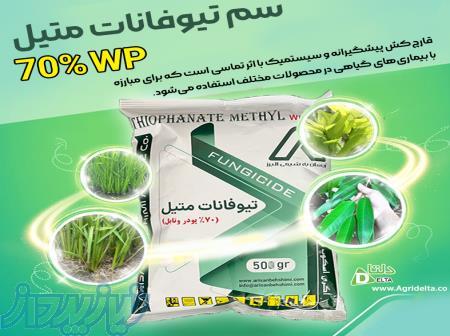 سم تیوفانات آریسان به شیمی(متیل ۷۰  WP) 