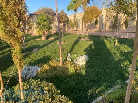 چمن کاری با چمن فرانکینیا 