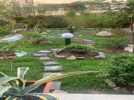 تولید و فروش چمن فیلا بهترین جایگزین انواع چمن 