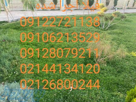 قیمت و خرید چمن فیلا مستقیم از گلخانه بهترین جایگزین چمن 