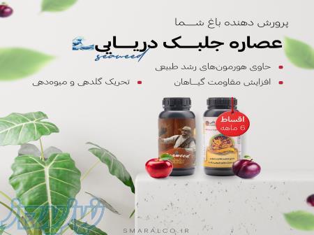 فروش عصاره جلبک دریایی 