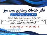 دفتر خدمات پرستاری سیب سبز 