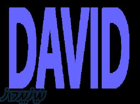 آژانس دیجیتال مارکتینگ دیوید رحمتی 