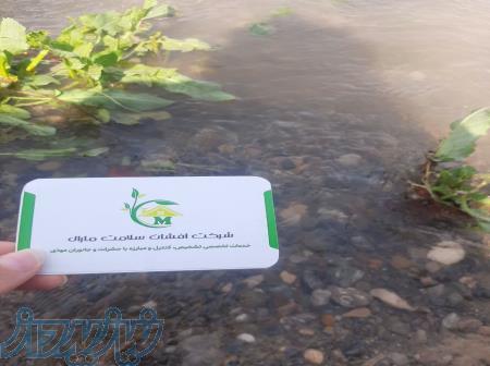 سمپاشی تخصصی موریانه استان اصفهان 