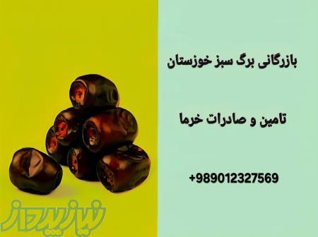 تامین خرما و فرآورده های خرما 