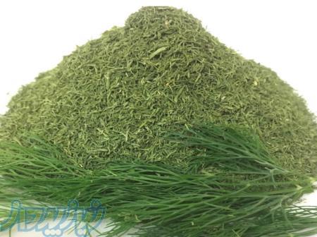 فروش عمده و تکی سبزی شوید خشک مشهد - خرید و قیمت 