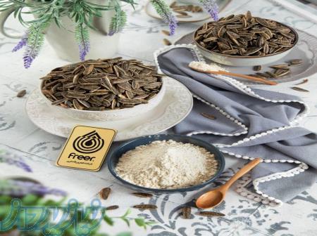 فروش عمده طعم‌دهنده باربیکیو پودری فریر 