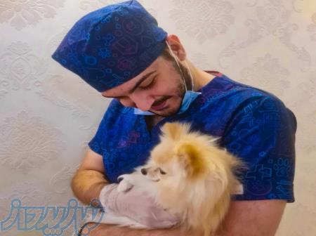 کلینیک دامپزشکی دکتر کامیاب پاژنامه 