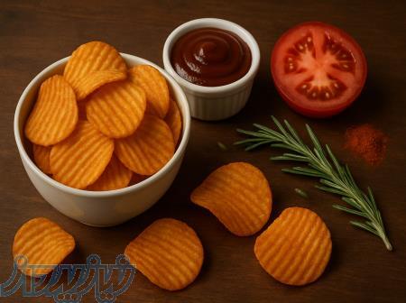    طعم ناب، انتخابی بی‌نظیر! فقط با فریر!    