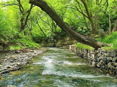 توریک روزه اطراف تهران 