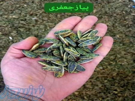 فروش عمده و جزئی طعم‌دهنده پیاز و جعفری 