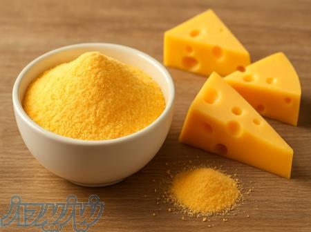 طعم دهنده پودری پنیری فریر 