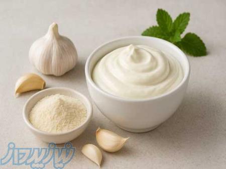 فروش عمده طعم دهنده پودری ماست و موسیر فریر 