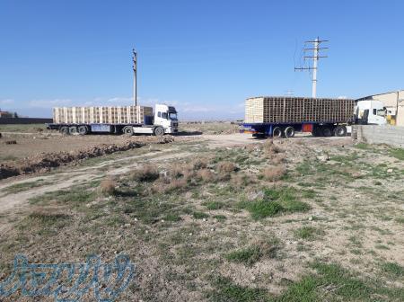 پالت  چوبی  صنعتی 