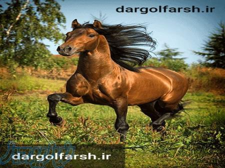 فروش نخ و نقشه تابلوفرش 