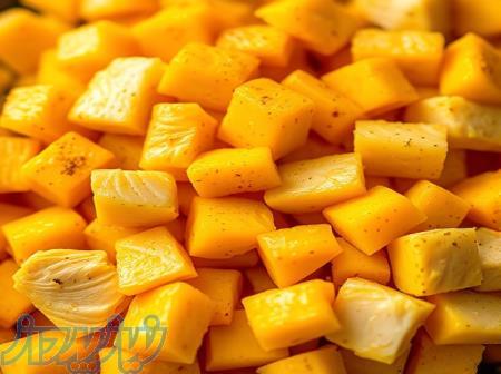 فروش ویژه رنگ زرد کورکومین مناسب برای جوجه کباب 