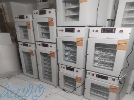 تولید و فروش دستگاه جوجه کشی 