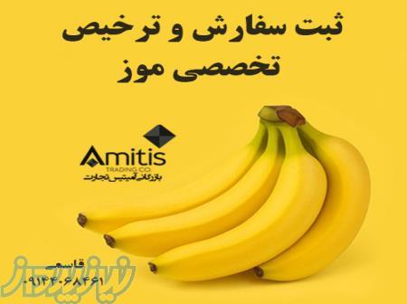 ثبت سفارش و ترخیص تخصصی موز 