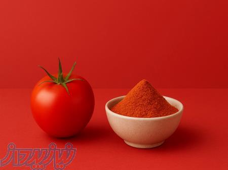 خرید عمده طعم دهنده پودری کچاپ 